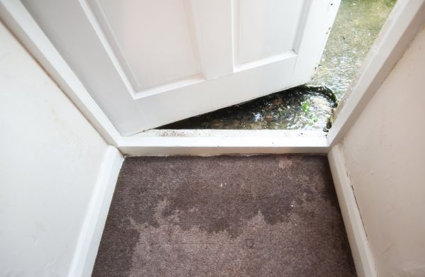 Wet Carpet Restoration in Springdale
