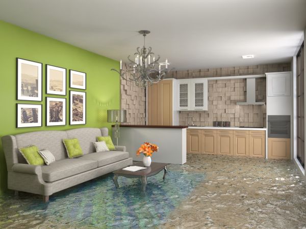 Wet Carpet Drying in Springdale