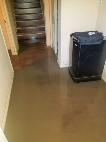 Emergency Water Removal in Springdale