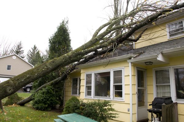 Hurricane Damage Repair in Springdale
